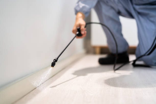 Licensed Cockroach Control service in Hartselle, AL - Nex Pest Control
