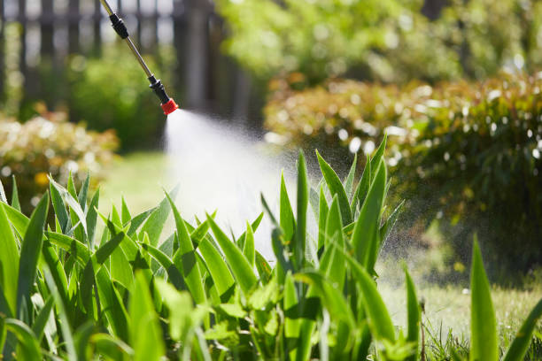 24/7 Emergency Cockroach Control experts in Hartselle, AL