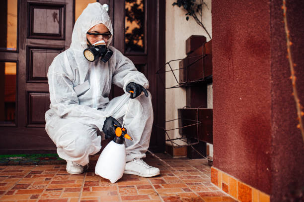 Reliable Cockroach Control contractor in Hartselle, AL by Nex Pest Control